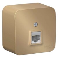 Розетка Blanca 1-я PC RJ45 о/у титан BLNIA045004 пластина